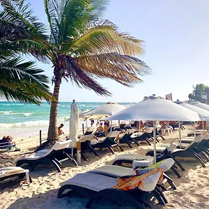 Hotel Silversands Boutique - 5th Ave, Playa del Carmen