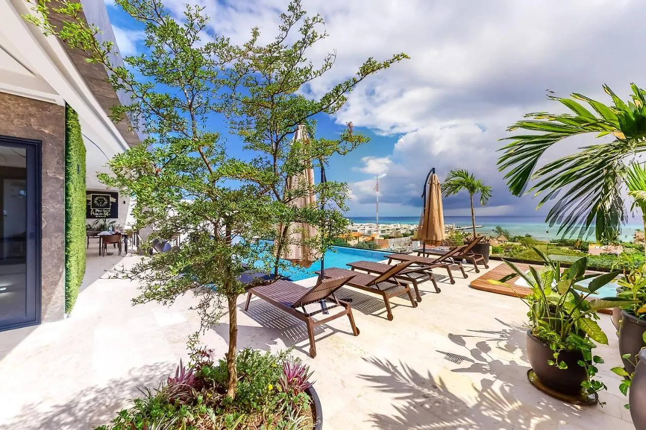 Actual Chic 502 At A Perfect Place Playa del Carmen