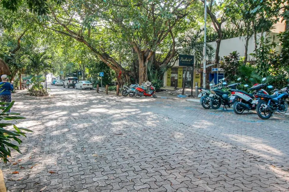 Hotel Actual Chic 502 At A Perfect Place Playa del Carmen